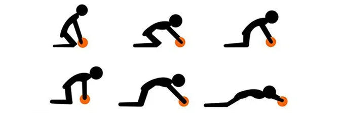 roue abdominale de fitness